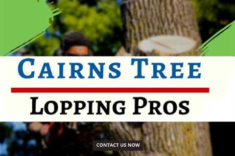 Cairns Tree Lopping Pros Discusses Why It’s Important to Ensure Stump Removal