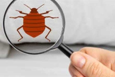 Pest Control 55416 - SmartLiving (888) 758-9103