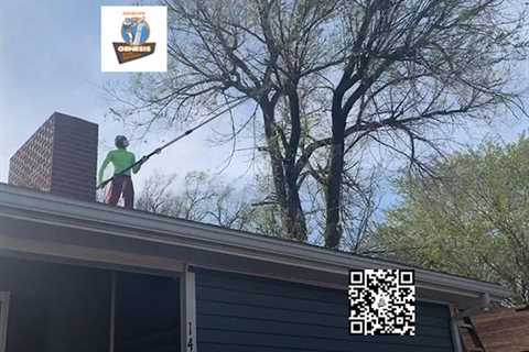 Genesis Tree Service Ashburn