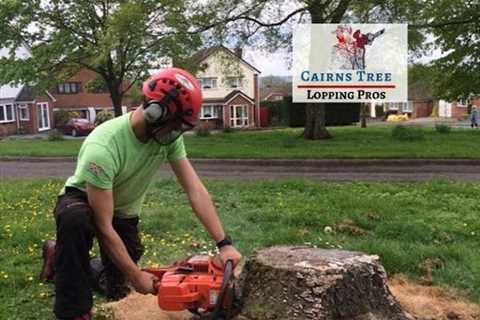 Cairns Tree Lopping Pros