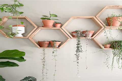 Indoor Plant Shelf Ideas To Make More Space for Green