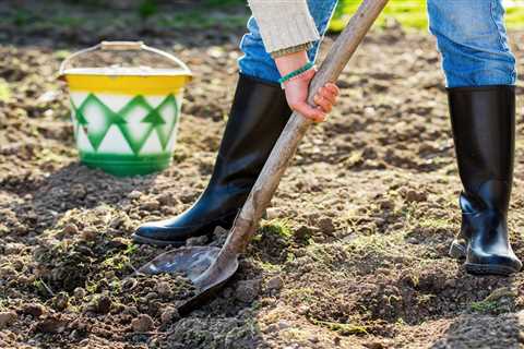 What To Know About Leveling a Yard