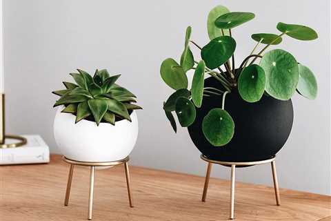 10 Plant Stands You and Your Indoor Plants Will Love