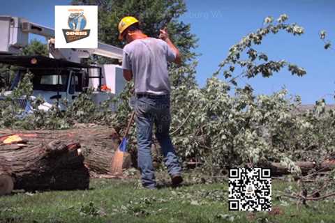 Genesis Tree Service Leesburg