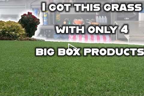 You only NEED 4 products to easily have a beautiful, green lawn. Basic lawn care tips on a budget!