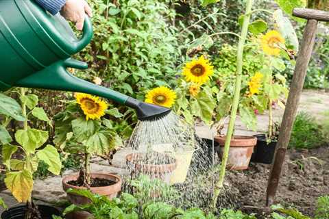 9 Summer Gardening Tips from the Pros