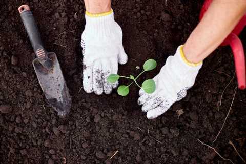 This Is What the Color of Your Garden Soil Means