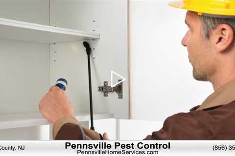 Pest Control Pennsville NJ