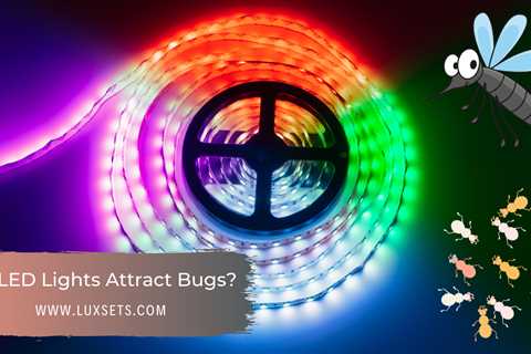 Do LED Lights Attract Bugs? - Luxsets