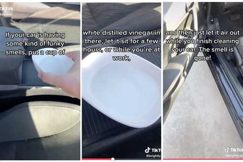 We Tested This TikTok Hack That Says You Use Vinegar To Fix a Stinky Car