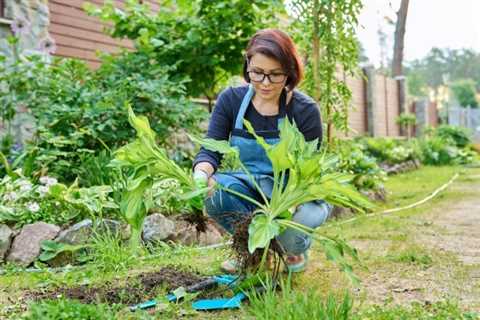 9 Perennials You Should Divide in Spring