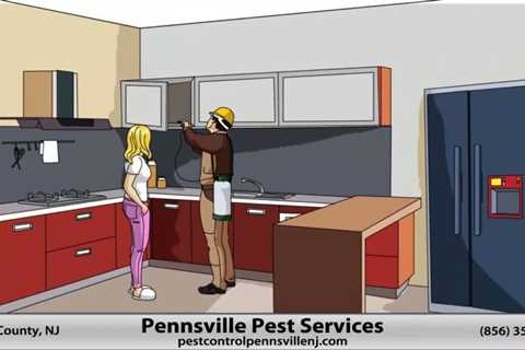 Pest Control Pennsville NJ | Jersey Termite and Pest Control