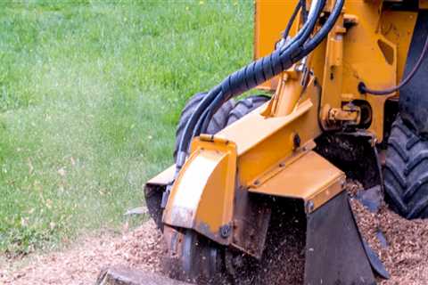 Is stump grinding easy?