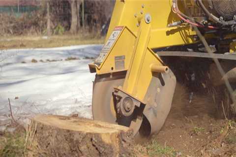 How deep should you go when grinding a stump?