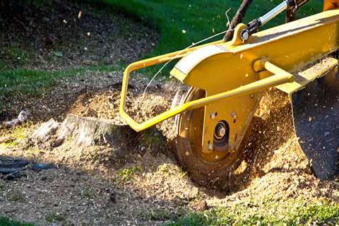 Why are stump grinders so expensive?
