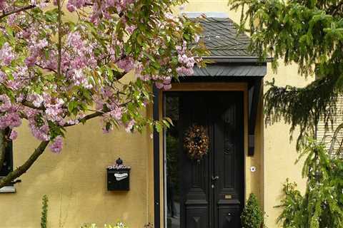 How close is too close to plant a tree next to a house?