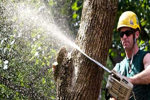 What does an arborist do for a living?