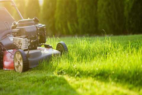 When should lawn care start?