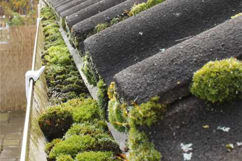 Moss Gutter Cleaning