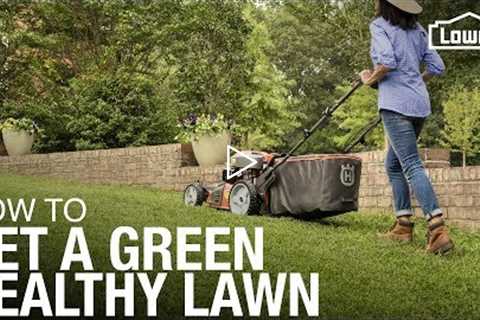 Lawn Care 101: How to Weed, Seed, Feed, Mow, & Water