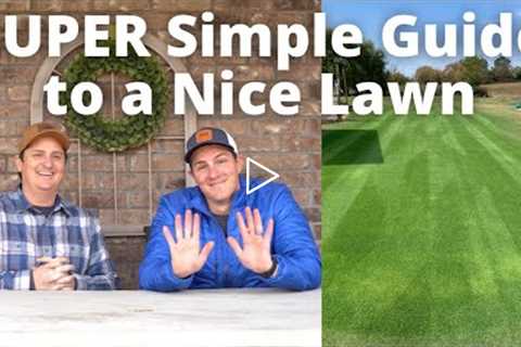 Lawn Care for Beginners