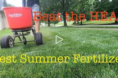 How to get your yard ready for summer | summer lawn tips