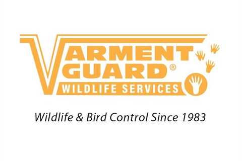 Varment Guard Wildlife Services in Fort Wayne, IN