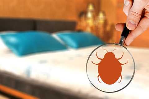 The Leading 3 Typical Hotel Pest Problems