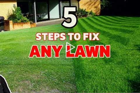 How to get the BEST lawn this year | And see the results (BEFORE and AFTER)