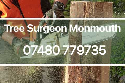 Tree Surgeon Abercynon