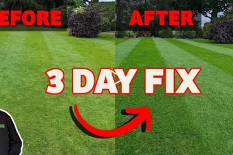 Two tricks to make your lawn greener this summer