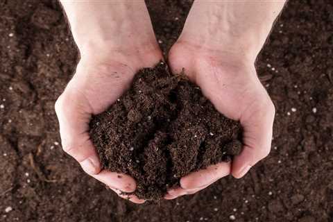 Homeowner's Guide To Soil Ecosystems