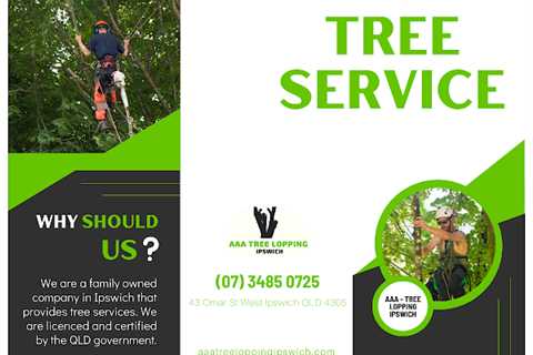 AAA - Tree Lopping Ipswich