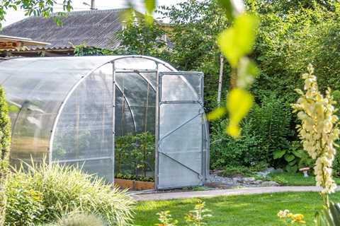 9 Types of Greenhouses
