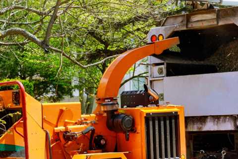 AAA - Tree Lopping Ipswich