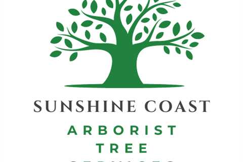 Land Clearing Sunshine Coast - Tree Removal & Tree Services