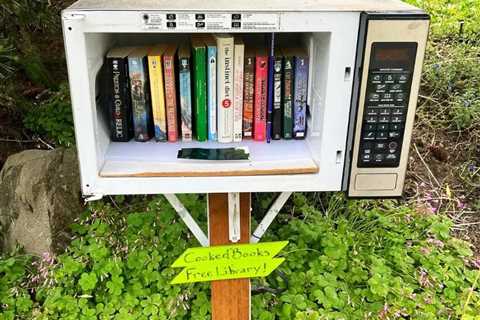 Random Things You Can Repurpose Into Little Free Libraries