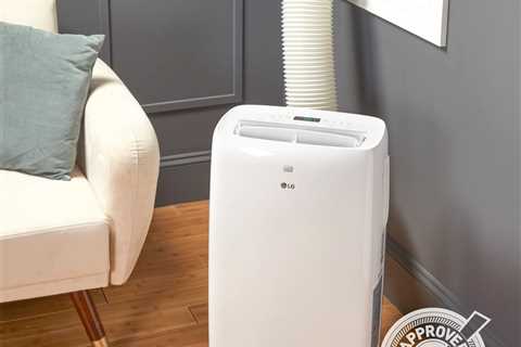 This LG Portable Air Conditioner Will Help Get You Through the Dog Days