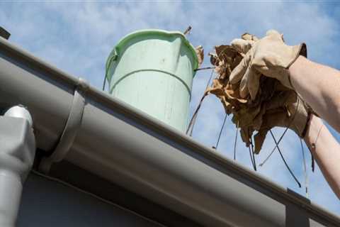 Who is responsible for cleaning gutters in a rental property vic?