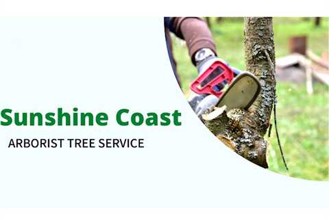 Sunshine Coast Arborist Tree Service