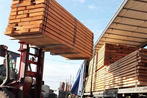 Lumber Prices Fell 67% In Five Months —Here’s Why