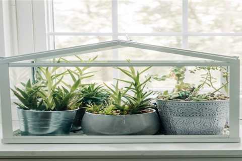 Guide To Choosing the Best Indoor Greenhouse