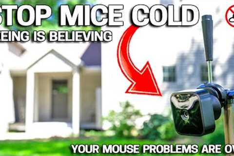 EASY WAY to Get Rid of Mice in Your House FOREVER - No More Mousetraps!