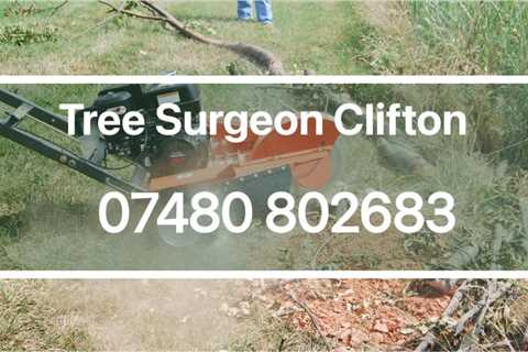 Tree Surgeon Aldwick