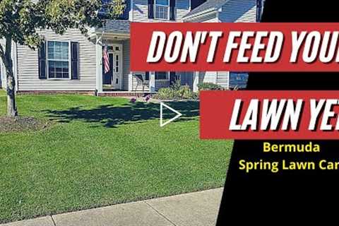 When Should I Fertilize My Lawn? Bermuda Lawn Care Tips 2021