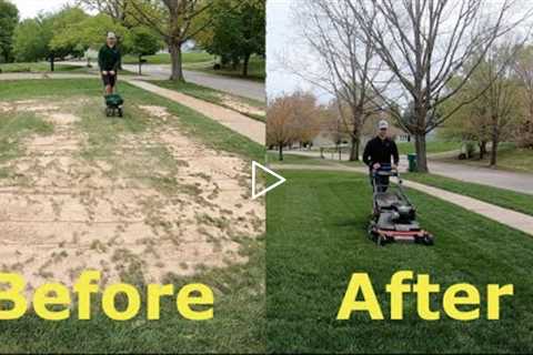 Step by Step Guide to OVERSEEDING (Better looking lawn FAST)