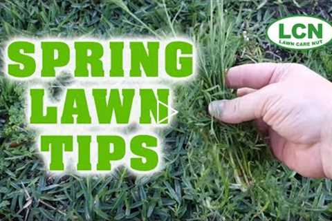 Spring Lawn Fertilizing & Weed Control Tips