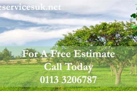 Tree Surgeon in West Bowling Commercial And Residential Tree Removal Services