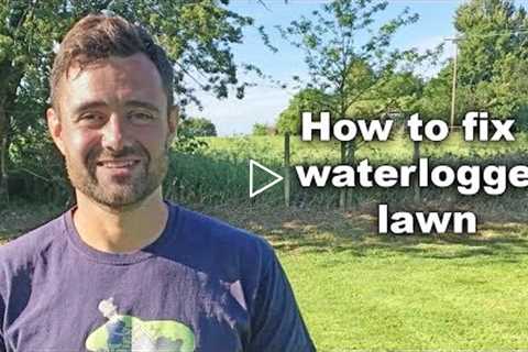 How to fix a waterlogged lawn