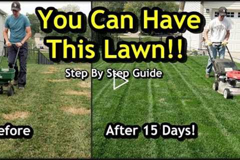 Fix an Ugly Lawn with Overseeding // Complete Step by Step Guide For Beginners